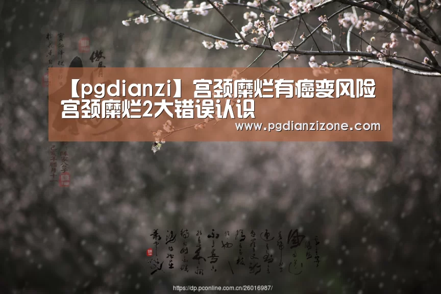 【pgdianzi】宫颈糜烂有癌变风险 宫颈糜烂2大错误认识(图1)