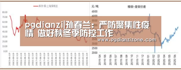 pgdianzi|孙春兰：严防聚集性疫情 做好秋冬季防控工作(图2)