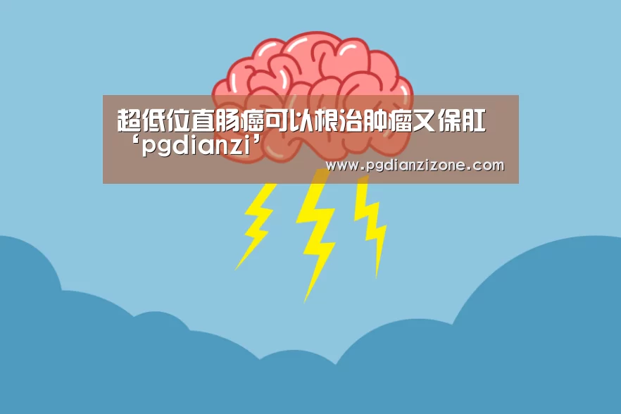 pg电子入口官网