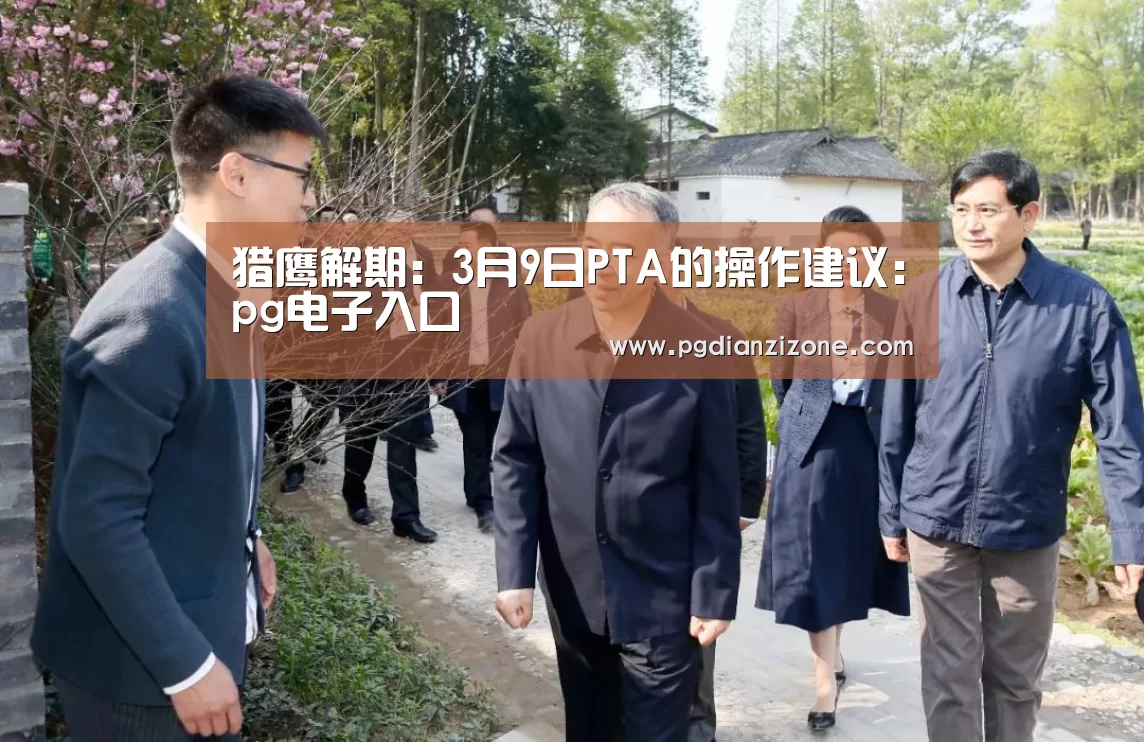 猎鹰解期：3月9日PTA的操作建议：pg电子入口(图3)