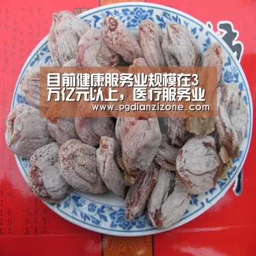 pg电子入口官网