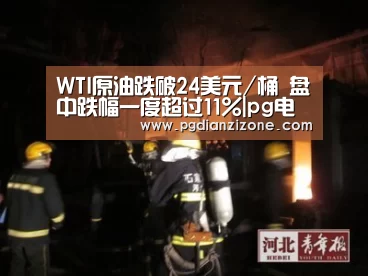 pg电子入口官网