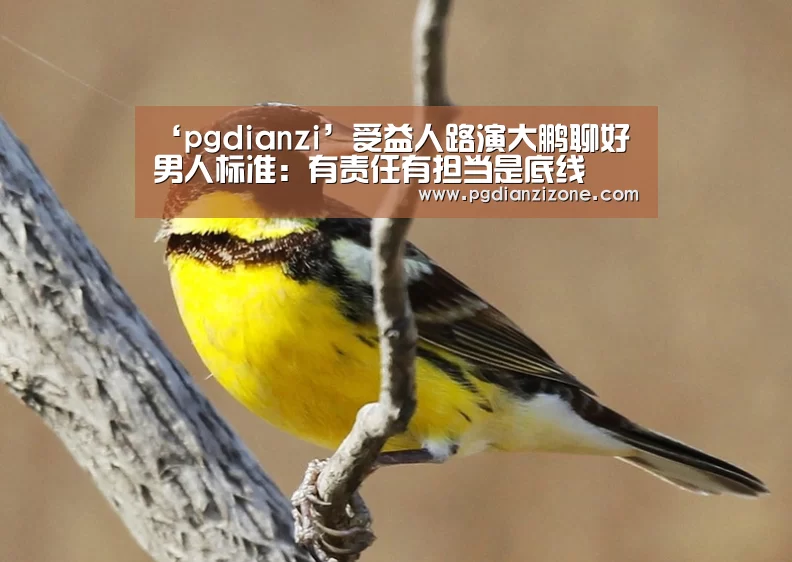 ‘pgdianzi’受益人路演大鹏聊好男人标准:有责任有担当是底线(图1) pg电子入口