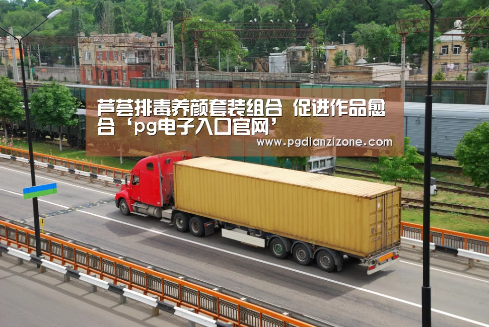 芦荟排毒养颜套装组合 促进作品愈合‘pg电子入口官网’(图4) pg电子入口官网