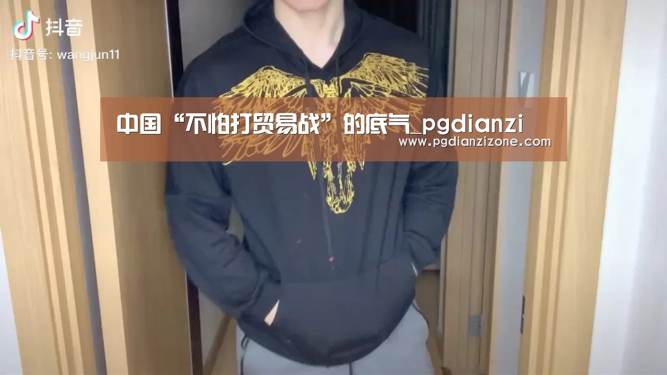中国“不怕打贸易战”的底气_pgdianzi(图4) pg电子入口