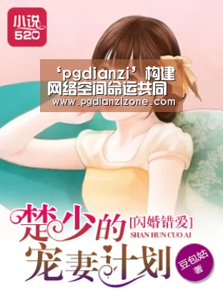 pg电子入口