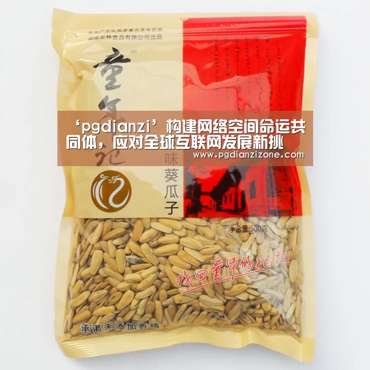 ‘pgdianzi’构建网络空间命运共同体，应对全球互联网发展新挑(图1)