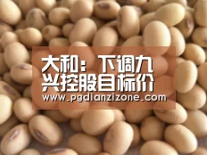 大和:下调九兴控股目标价至9港元 重申买入评级-pgdianzi(图3) 大和:下调九兴控股目标价至9港元 重申买入评级-pgdianzi(图3)