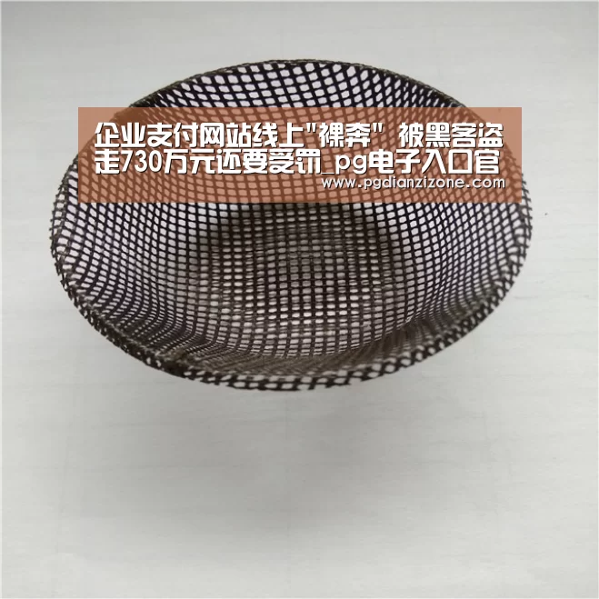 企业支付网站线上裸奔 被黑客盗走730万元还要受罚_pg电子入口官网(图1) pg电子入口